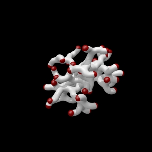 corailcourbe4_l4_4